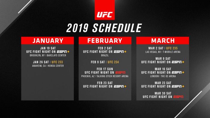 PURBABET Jadwal dan Link Live Streaming UFC 308